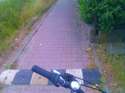 sylw1905 - I jeździj sobie rowerem po chodniku ( ͡° ʖ̯ ͡°)
#czestochowa here #patolo...
