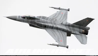 Diplo - #wojsko #wojskopolskie #aircraftboners #lotnictwo 

Tygrys w locie. Otwiera...