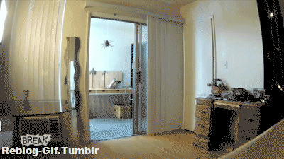 W.....a - ( ͡° ͜ʖ ͡°) 



#gif #prank #bekazrozowychpaskow