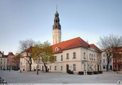 rosomak94 - @misisk: w Zielonej obok Palmiarni rozpoznawalny jest ratusz