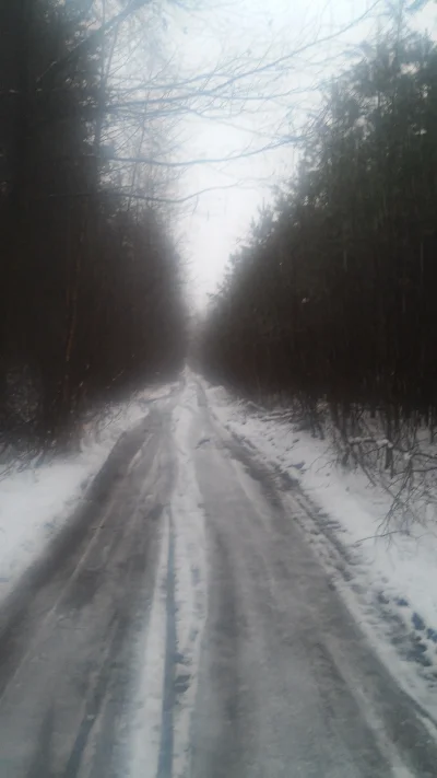 H.....n - #bieganie #zima #bialegowno 
Najlepsza pogoda do biegania. Bloto a pod tym...
