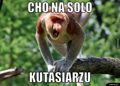 ZawodowyPolak - @bij-dziada: #polak #memy #heheszki #humorobrazkowy #tworczoscwlasna