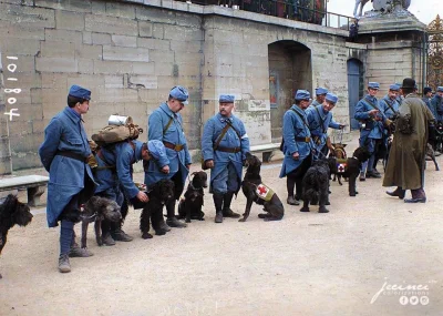 t.....m - Francuscy żołnierze i psy ratunkowe przed wyruszeniem na front
Paryż Francj...