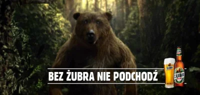 N.....i - Żubr ma chyba najlepszą kampanię reklamową wśród polskich piw. Platige Imag...