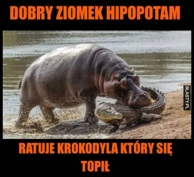 rukh - @esox: Tak jak i tu: tu Hipopotam na prawdę atakuje krokodyla, trzeba wyjaśnia...
