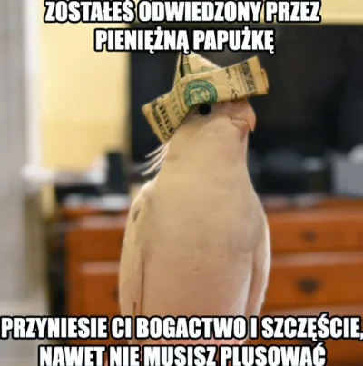 TheXArczi - Miłego dnia (｡◕‿‿◕｡)
#memy #humorobrazkowy