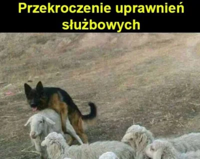 X.....d - #humorobrazkowy #heheszki