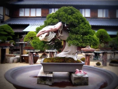 Arcyksienciuniu - @WuDwaKa: 800-letnie drzewo bonsai ( ͡° ͜ʖ ͡°)

SPOILER