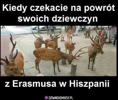 M.....a - co te erasmusy robią, to ja nie ( ͡° ͜ʖ ͡°) #heheszki #humorobrazkowy #gown...