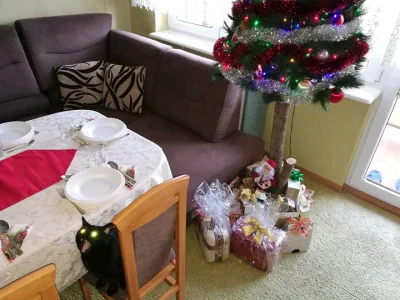 Lasiu - "Gdzie moje prezenty!?"
#pokazkota #smiesznykotek #koty #kitku
