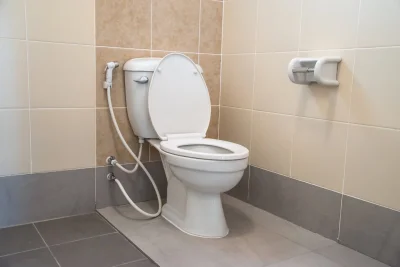 Trismagist - @piaskun87: Na tej toalecie srał prezes Jarosław. Jego gówno zostało wyc...