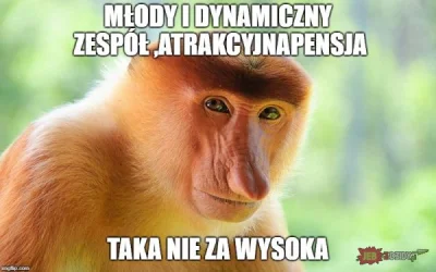 medykydem - #heheszki #nosacz #nosaczsundajski