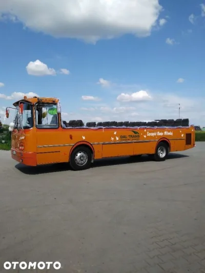 Sepp1991 - Jestem na etapie autobusów, ale to coś zniszczyło mi dzień .
To jest #!$%...