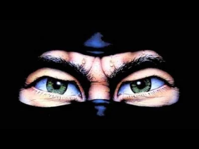 80sLove - Axel Melzener (Mentric) - The Last Ninja: Central Park (Wardance Remix)



...