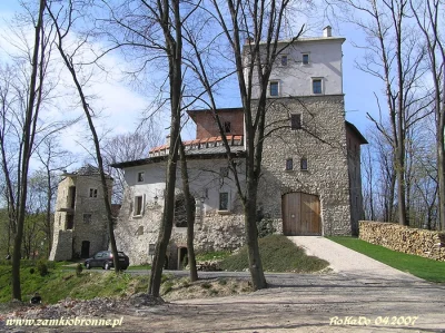 extrareklamy - Polecam rewelacyjny zamek w Korzkwi pod Krakowem. Byłem 3-4 lata temu....