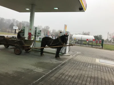 MnicH54 - Ceny paliw idą w górę, a na podlasiu tankują swoje furmany na zapas ;)
#pod...