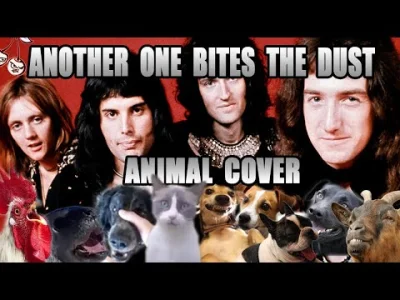 janushek - Queen - Another One Bites The Dust (Animal Cover)
#heheszki #zwierzaczki ...