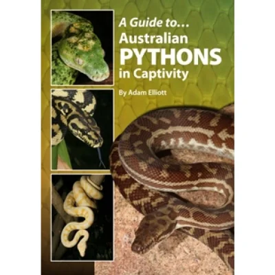 bi-tek - Ostatnio wspominałem dziewczynie że chciałbym się nauczyć #python i przebran...