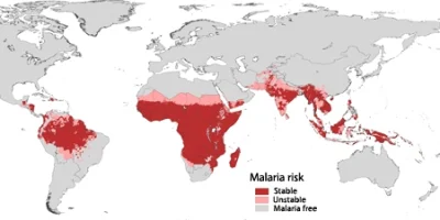orkako - Leczmy malarię, to takie dobre...ale czy dla nas? Malaria występuje we wszys...