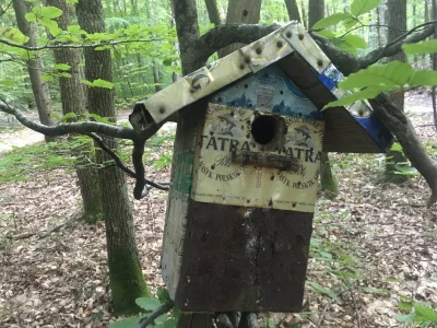 Jendrazzz - Gdy miłośnik ptaków kocha też piwo...znalezione dzisiaj podczas spaceru z...