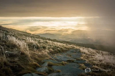 ColdMary6100 - Babia Góra o poranku wygląda tak:)
#gory #earthporn #fotografia Paweł...