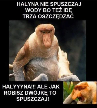 romek48372 - #humorobrazkowy #heheszki #pasjonaciubogiegozartu #suchar #nosaczsundajs...