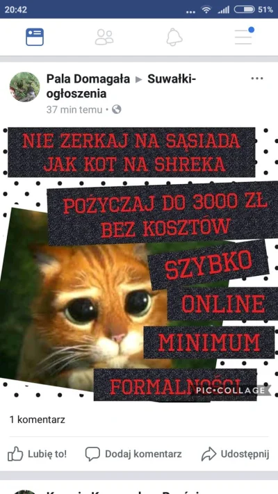 Rzartownis - XD #polak #polakicebulaki