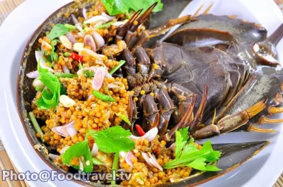 nbqbio - @coptermedia_pl: Skrzypłocz - Horseshoe crab, są jadane, np. w Tajlandii