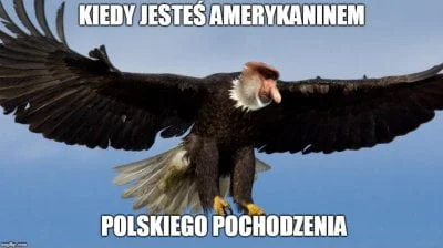 fan_comy - xD
#heheszki #polak #nosaczsundajski