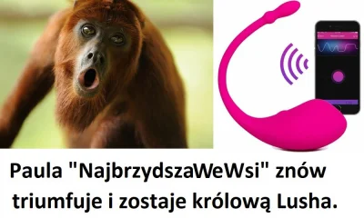 BlogSU - @fluchtlinge_willkommen: podsyłam kilka linków do forum i bloga SU: Nowy fet...