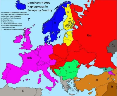 johanlaidoner - @PozytywistycznaMetamorfoza: Dominujący gen w populacjach krajów Euro...