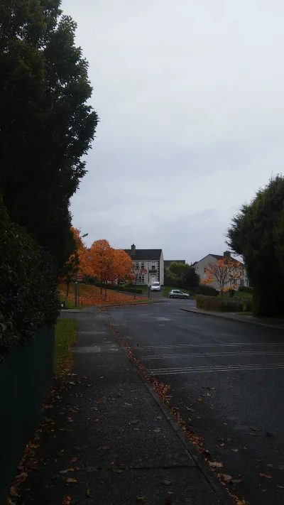 amebazupelna - #projektdonegal #irlandia #pogoda
Witamy jesien, deszcz i jeszcze wie...