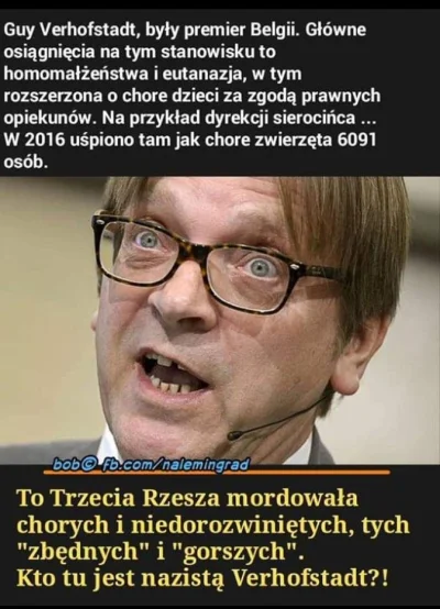 m.....o - #nazizm #lewackalogika #neuropa #postep #belgia #lewica #polityka