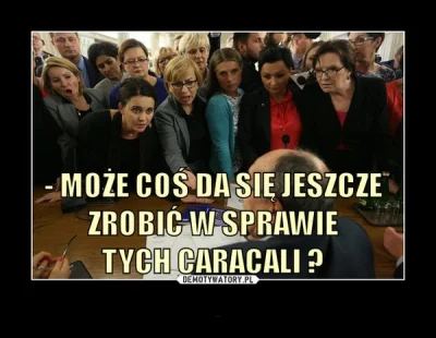 nkamil - to teraz rozumiem to zdjęcie,,,