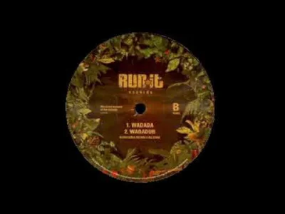 bauagan - (RUN IT RECORDS) BLOOD LION & THE RUN IT ALL STARS - WADADA / WADADUB


...