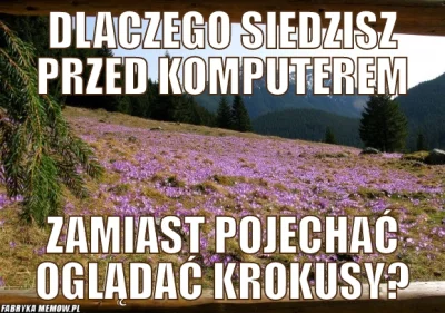 OcieplanieWizerunkuPatologii