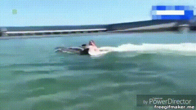 mile5 - #maklowicz #maklowiczcontent #delfin #heheszki #gif