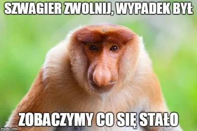 Pafnucek - Dziś rano stałem w korku, bo na pasie awaryjnym jezdni w przeciwnym kierun...