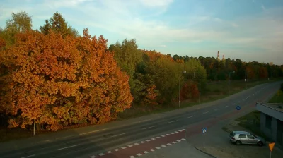 faramka - Wczoraj akurat zrobiłam fotkę z okna w pracy, bo piękna ta słoneczna złota ...