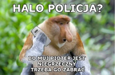 PawelW124 - #polak #nosaczsundajski #nosacz #memy #dzieci #madki #humor #heheszki