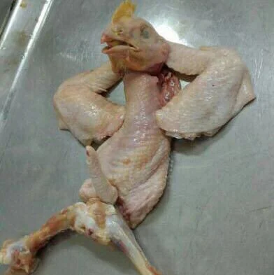 elwafel - A ja jak zwykle robię kurczaka: