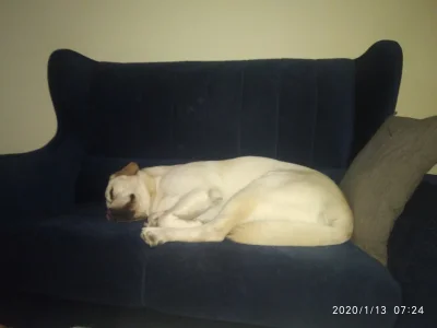 Spajkodron3000 - Kiedy jesteś tak zmęczony spaniem że musisz to odespać ( ͡° ͜ʖ ͡°) #...