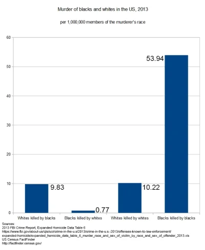 sorek - Amerykanskie statystyki zabojstw w Stanach zjednoczonych ze wzgledu na kolor ...