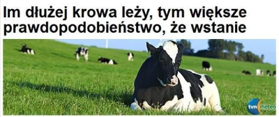 darosoldier - #humor #krowa #tvnmeteo