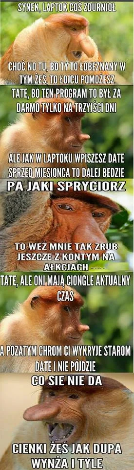 T.....X - #humor #heheszki #humorobrazkowy #humorinformatykow #polak #nosaczsundajski