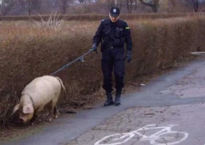 mocarnyknur - Wystarczyło by zrobić tak. Mniej zamieszania i mniej środków.