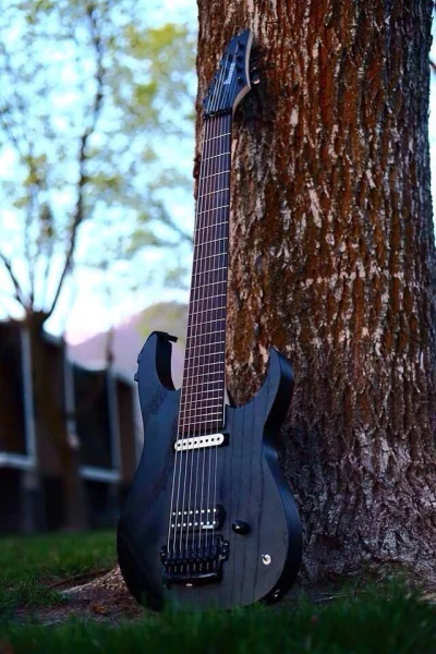 venomalus - #guitarporn #woodboners #meshuggah