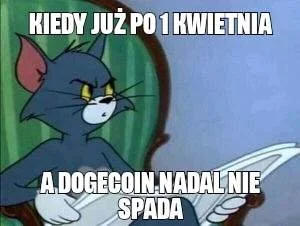 KotPrezesa1 - #dogecoin #kryptowaluty