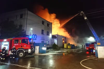 grishko - 9 grudnia 2019, Międzyrzecze Górne, ul. Bieszczadzka godz. 4.05 - Dwadzieśc...