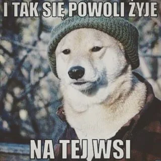 El_Duderino - @Tytanowy: Dlaczego ktoś miałby taki znak usuwać? Pomijając legalność t...